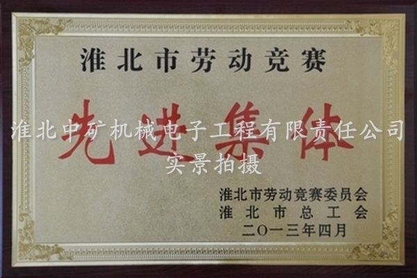 2013年度勞動(dòng)競(jìng)賽先進(jìn)集體